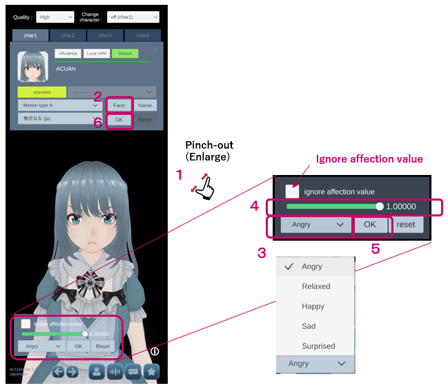 Character model select and settings - Facial expression settings